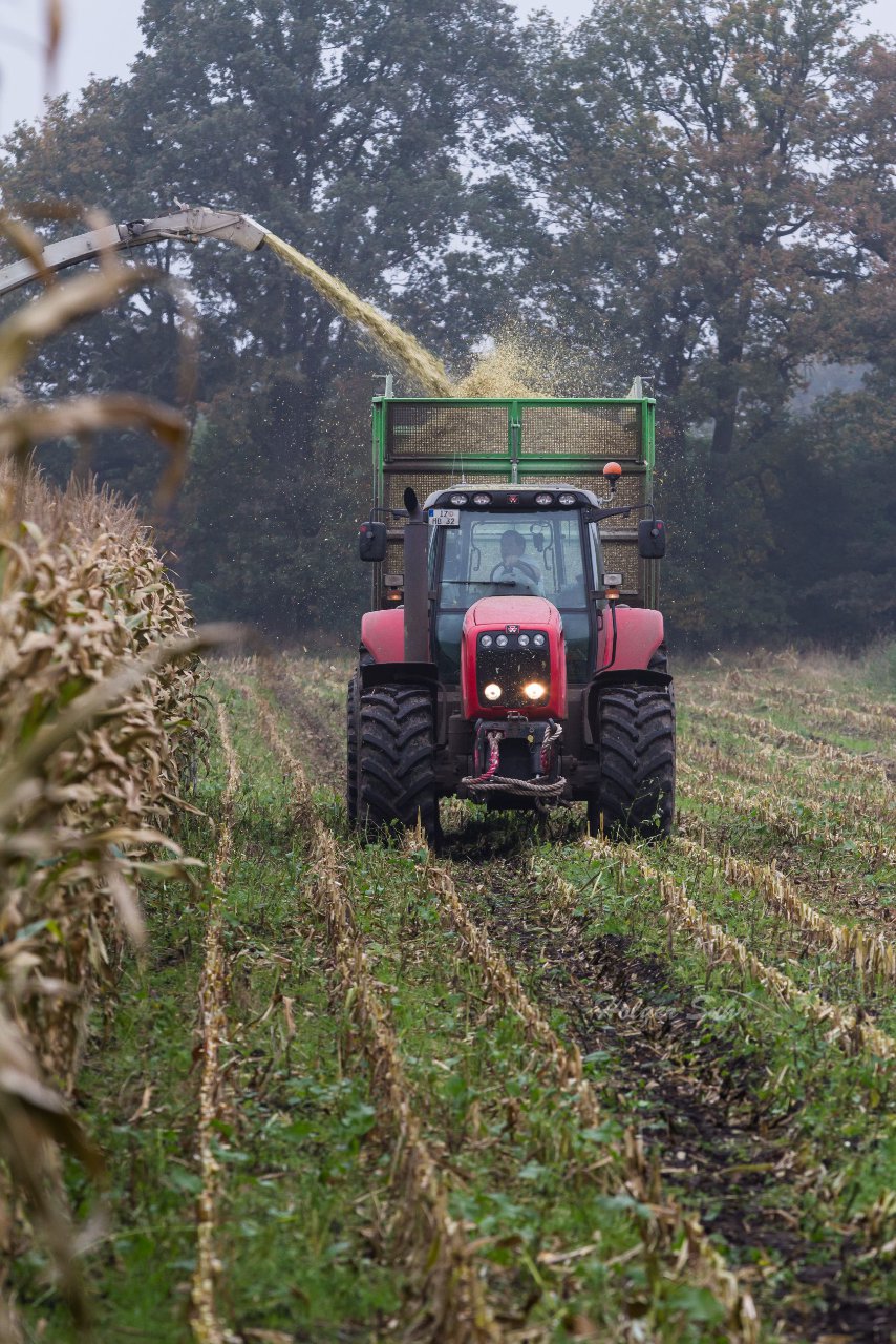 Bild 136 - Biogas am 21.10.12